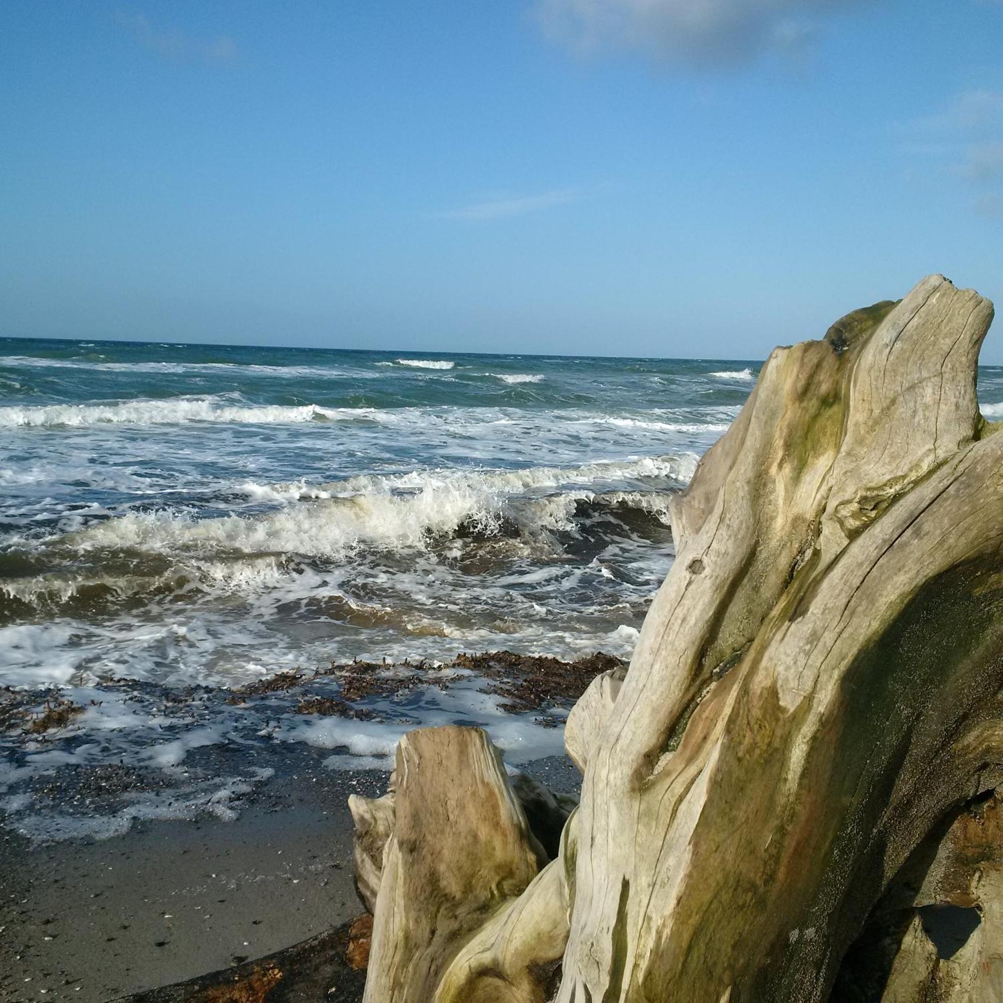 Duene-9 In Dierhagen-Strand Værelse billede