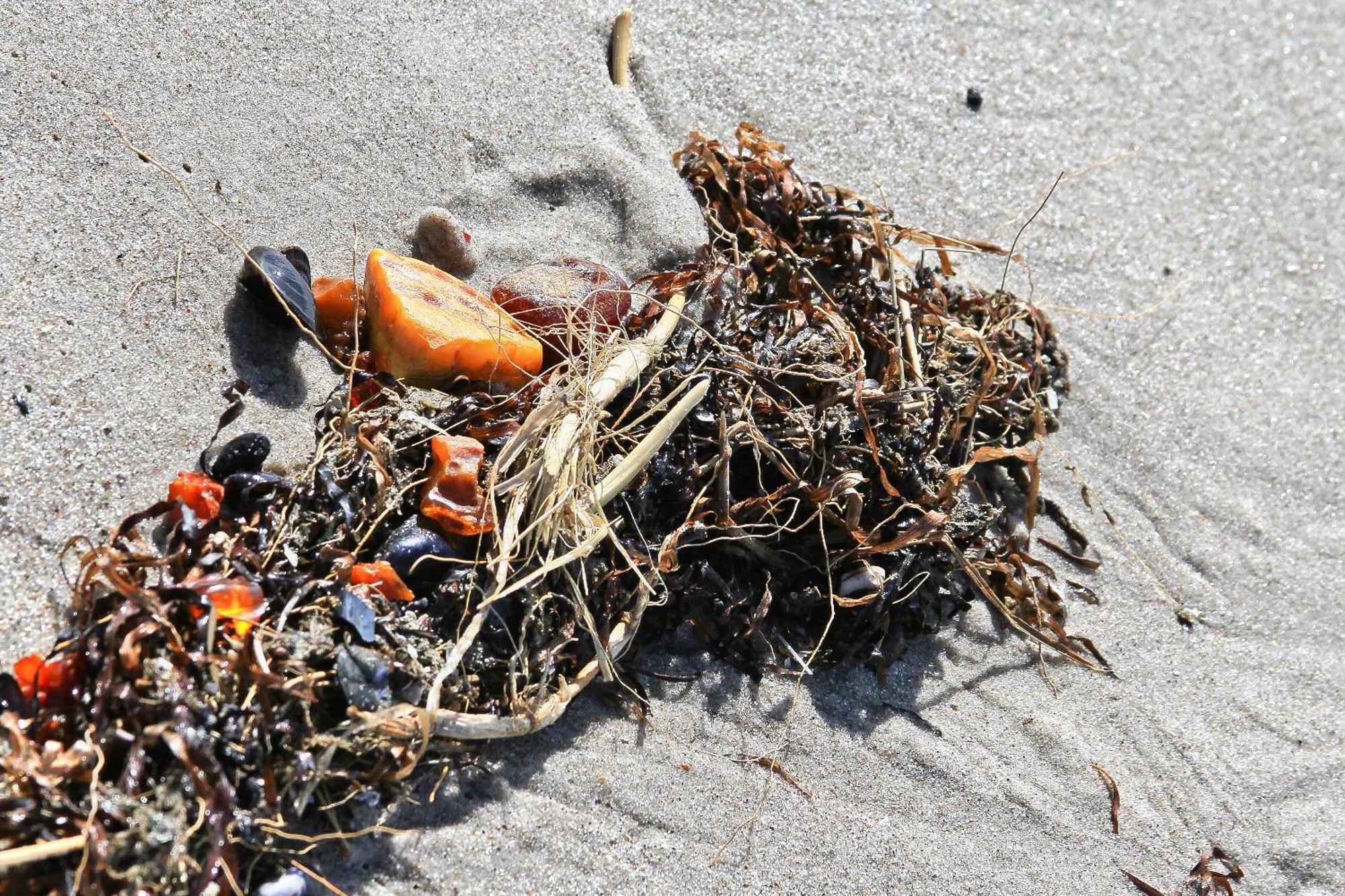 Duene-9 In Dierhagen-Strand Værelse billede